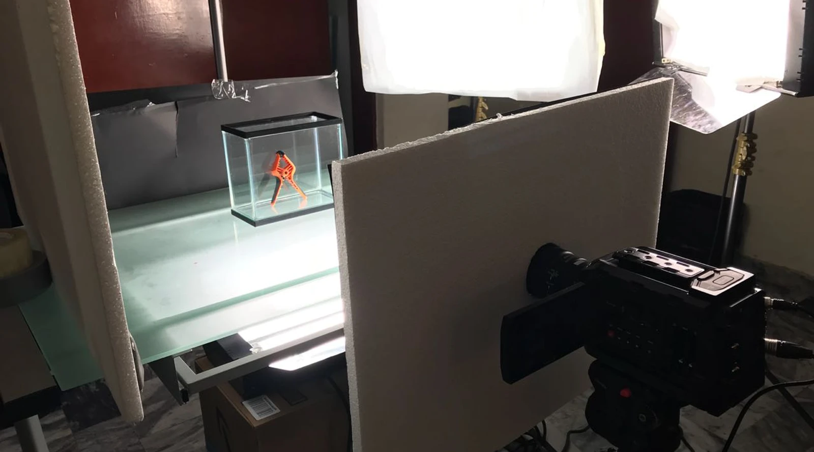 IMG-20180808-WA0078.jpg