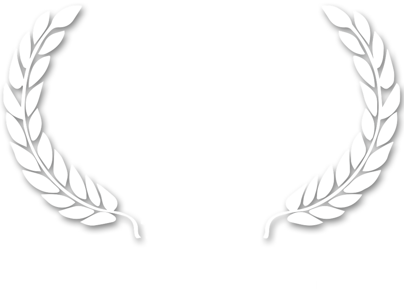 Nominated-Animation-2019-ArpaIFF_transp.