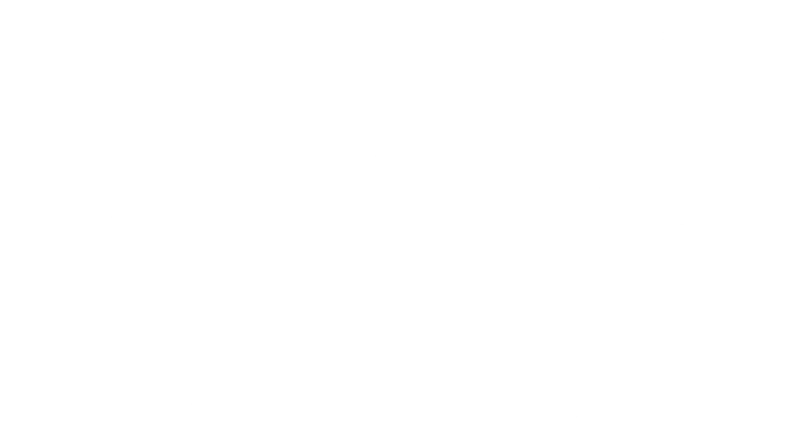 accolade.png