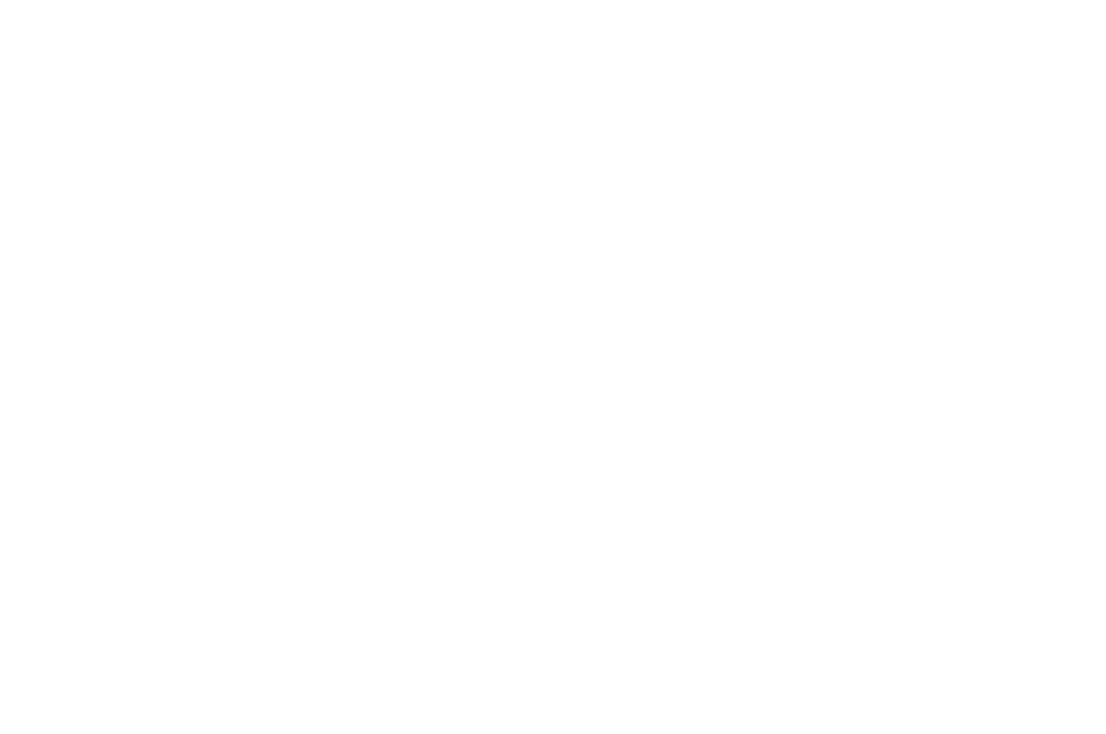 MERAKI.png